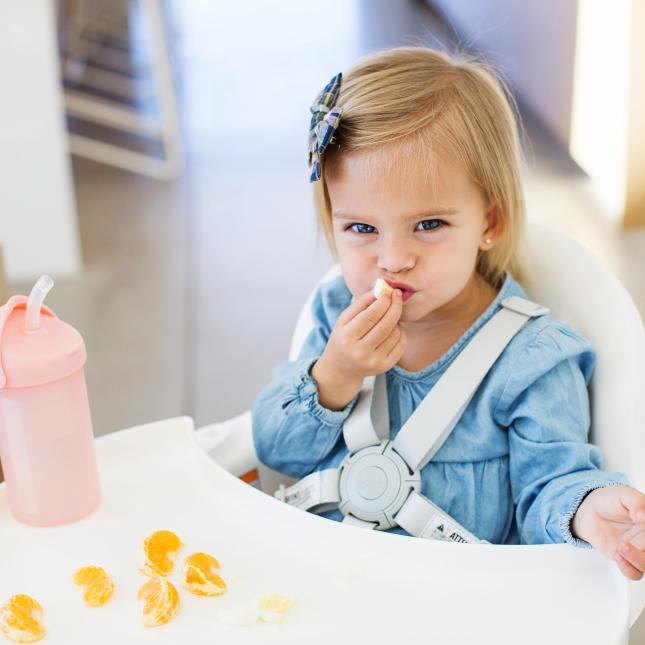 Boon Universal Highchair Harness Replacement Harness for Grub, Flair