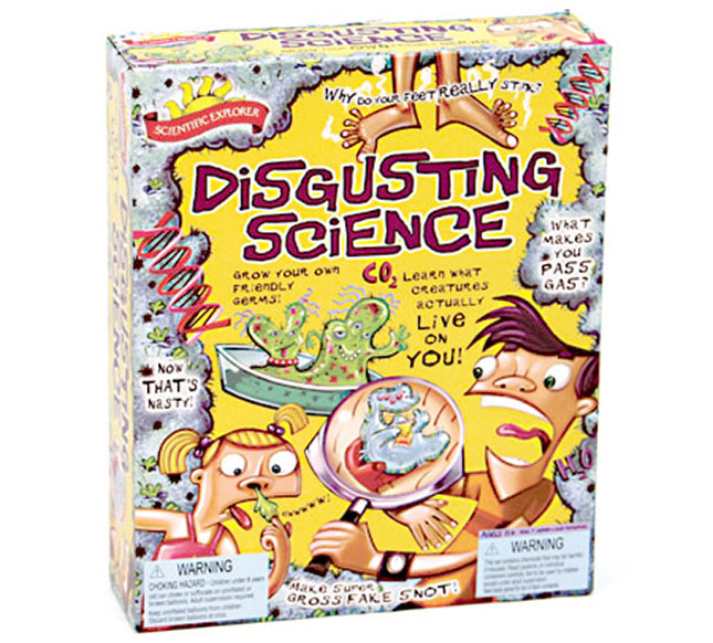 disgusting-science-fat-brain-toys