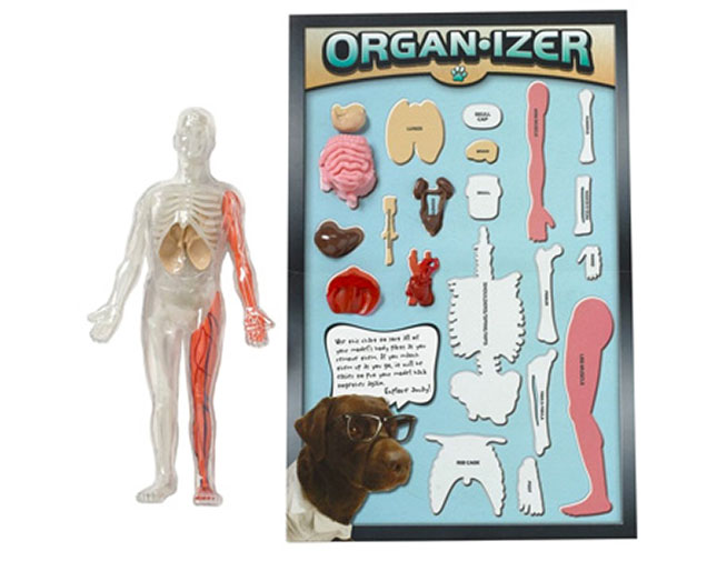 totally squishy from head to toe