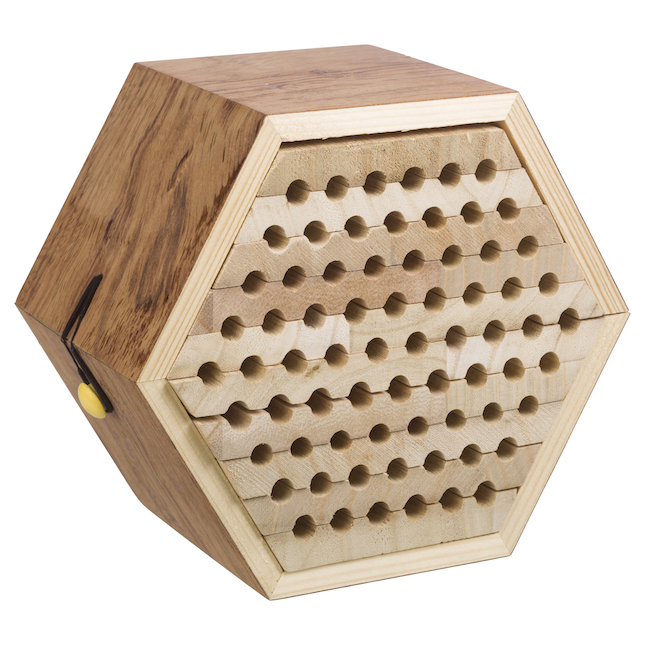 Solitary Bee Habitat - - Fat Brain Toys