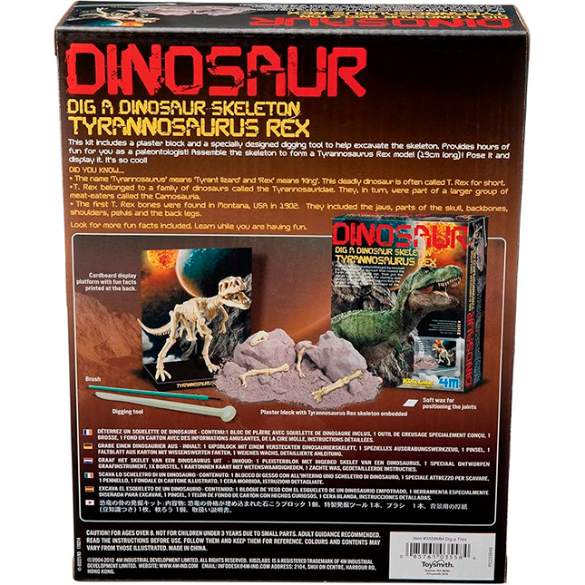 Kit Scavo Paleontologico 4M Kidz Labs | Brachiosaurus | Gioco Scientifico Per Bambini 7+ | Scava E Ricostruisci Lo Scheletro