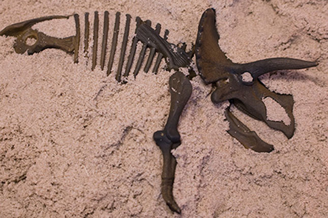 kinetic sand dino dig