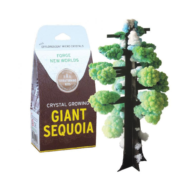 Crystal Growing Giant Sequoia Fat Brain Toys