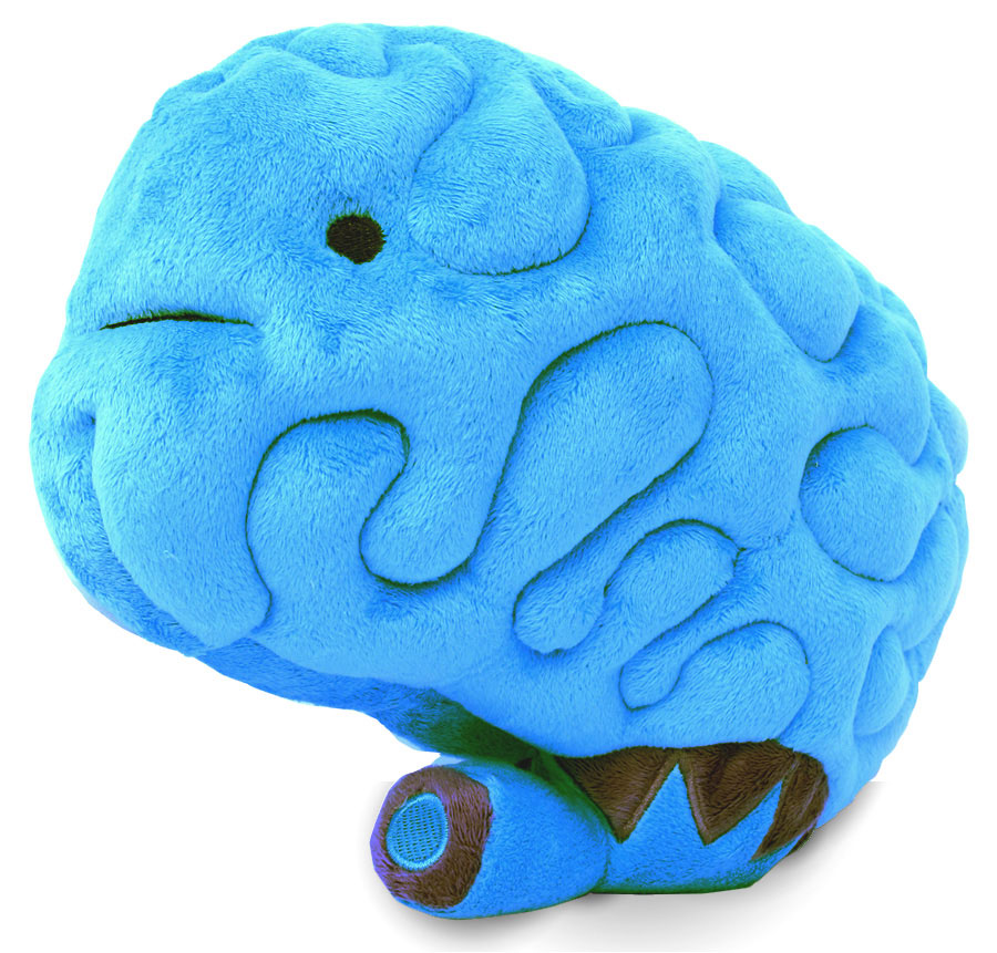 Large brain. Плюшевый мозг. Игрушечный мозг. Мягкая игрушка мозг. Плюшевый мозг игрушка.