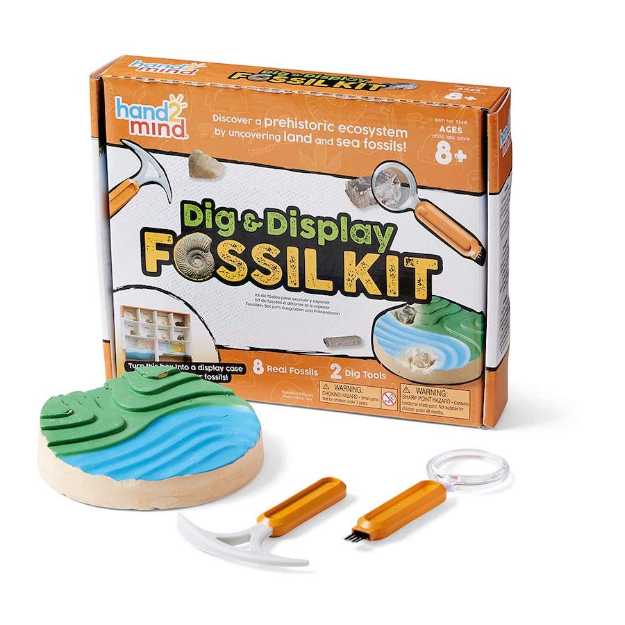 Hand2Mind Dig & Display Fossils Science Lab Kit Fat Brain Toys
