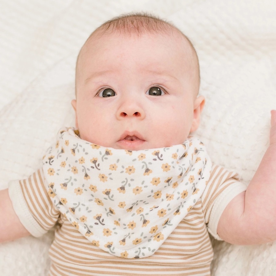 2 Pack Muslin Bandana Bibs Fat Brain Toys