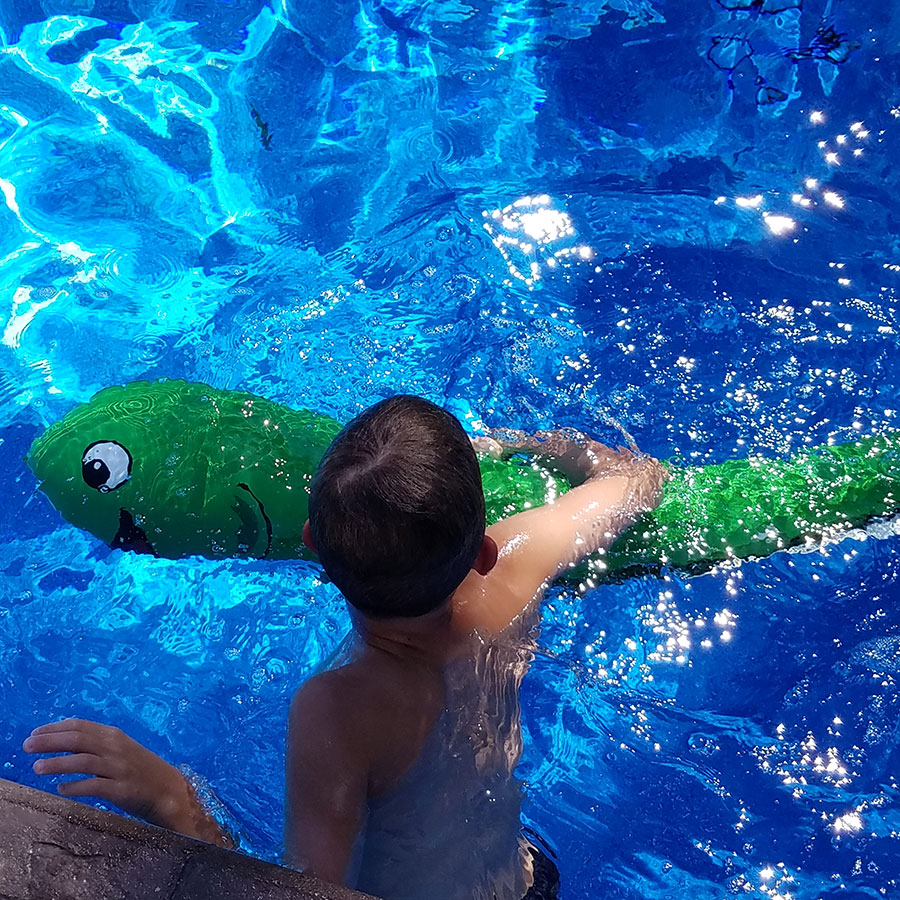 PoolPets Eelvis the GlowintheDark Eel Fat Brain Toys