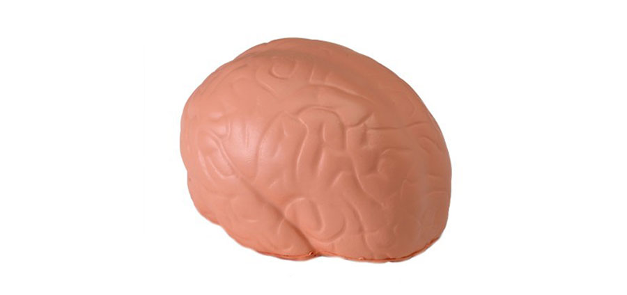 Brain Fart Fat Brain Toys
