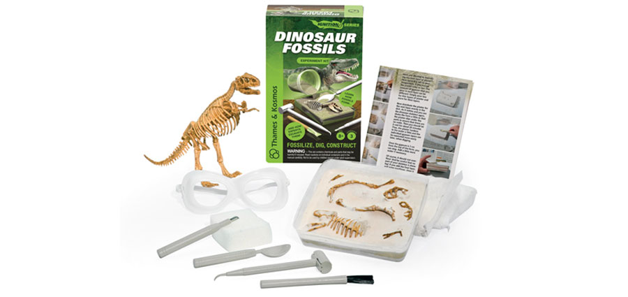 Ignition Series - Dinosaur Fossils - - Fat Brain Toys