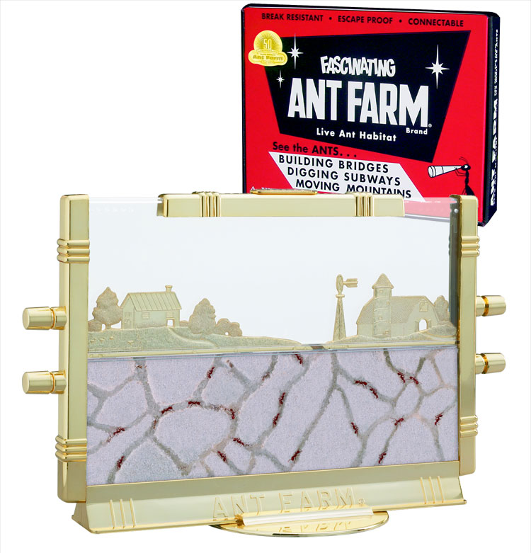 Карта ant farm