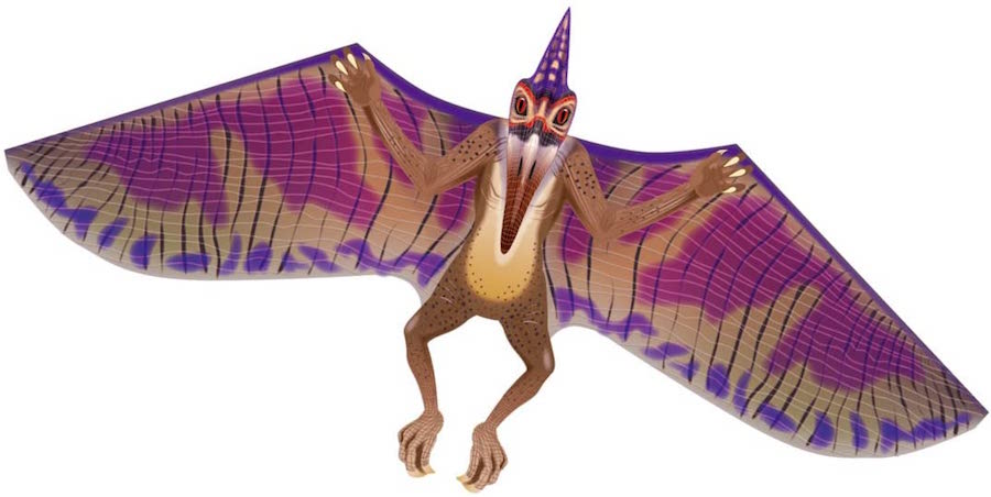 DinoSaur Pterodactyl Kite