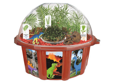 Dinosaur Dome Terrarium