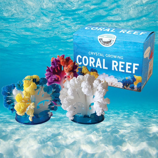 National Geographic Crystal Reef Science Kit : Target