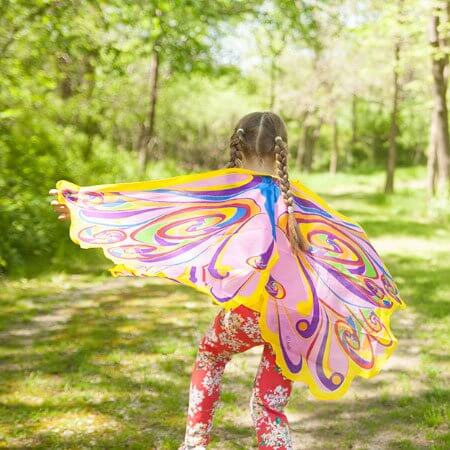 fairy wings costume
