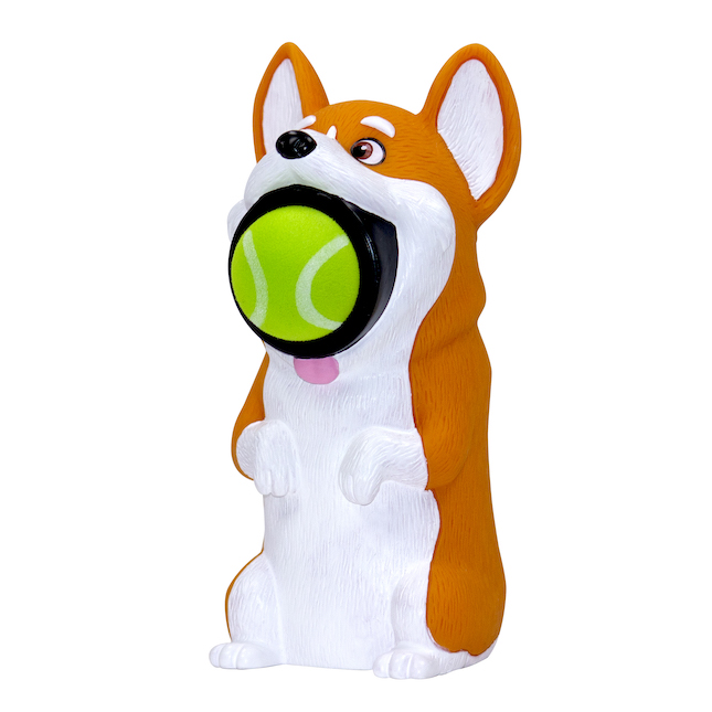 best toys for corgi