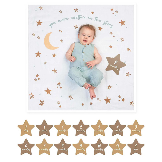 Baby milestone best sale cards and blanket