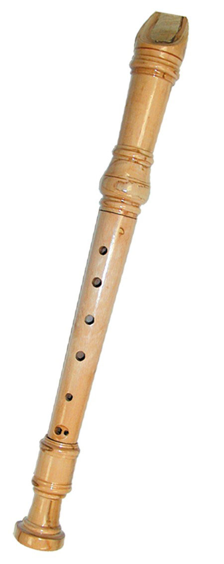 Recorder - - Fat Brain Toys