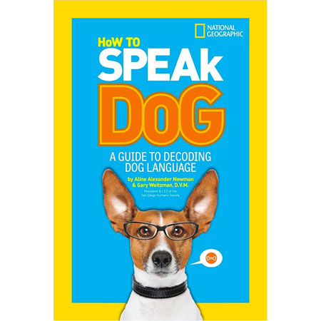 speaking dog toy