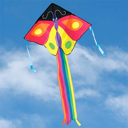 Large Easy Flyer - Butterfly - - Fat Brain Toys