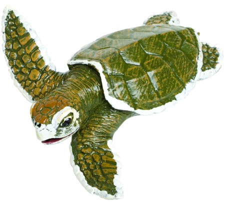 Kemp's Ridley Sea Turtle Baby - - Fat Brain Toys