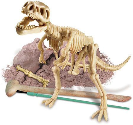 dinosaur toy with skeleton inside