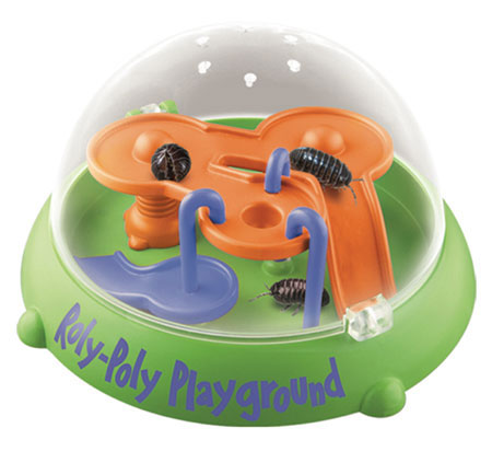 roly poly bug toy