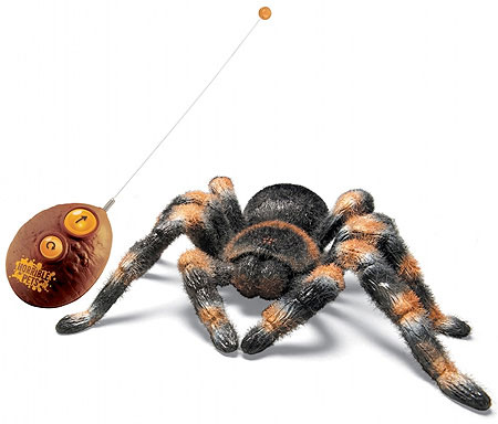 その他 Tarantula 4L Tarantula 4L