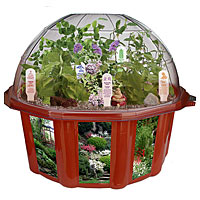 Bonsai Village Dome Terrarium