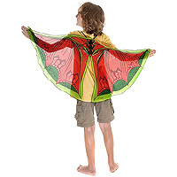 Dragon Wings