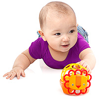 Oball Rollie Rattle