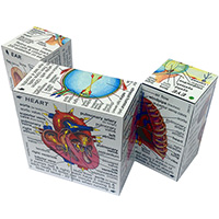 The Original Cube Book - Human Body