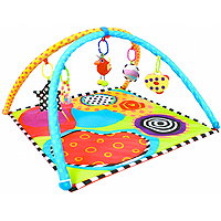 Developmental Playmat