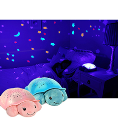 twinkling twilight turtle