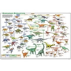 Dinosaur Evolution Poster - - Fat Brain Toys