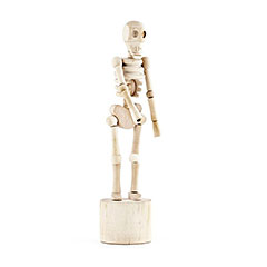 藤井保　SKELETON White ZX-S130 Human Skeleton Disarticulated with