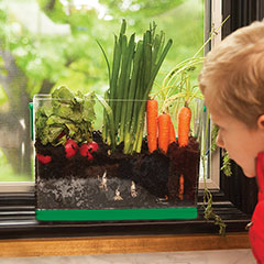 Deluxe Root Viewer - - Fat Brain Toys