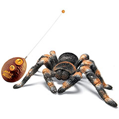 その他 Tarantula 4L 81iN-czrxvL._AC_UF894,